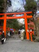 貴船神社の鳥居