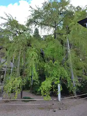 平泉寺(山形県)