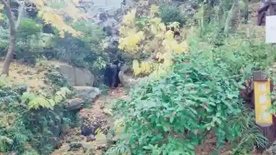 弁財天社の自然