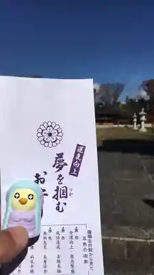 長野縣護國神社のおみくじ