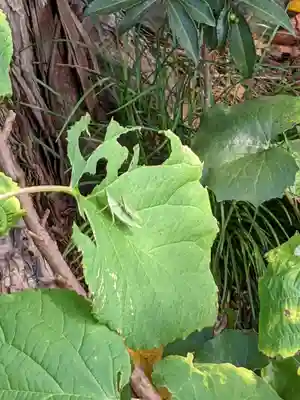 大福寺(静岡県)