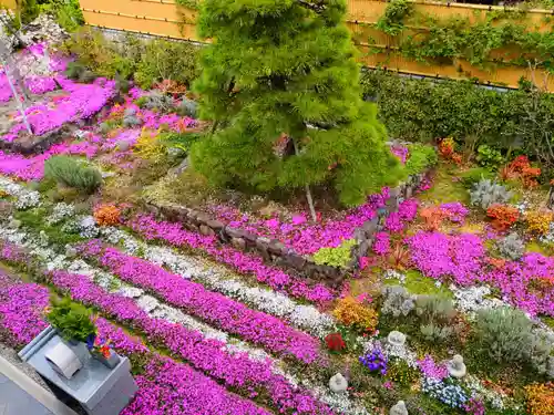 寿量山　速成寺(奈良県)