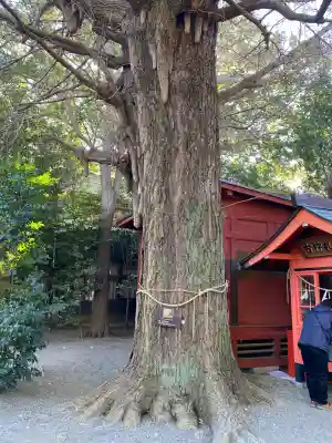 冠稲荷神社(群馬県)