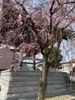 浄得寺(福井県)