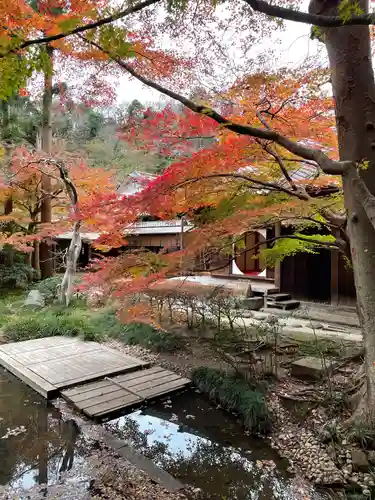 明月院の庭園