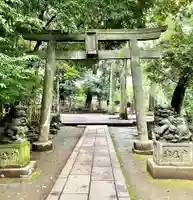 渋谷氷川神社の鳥居
