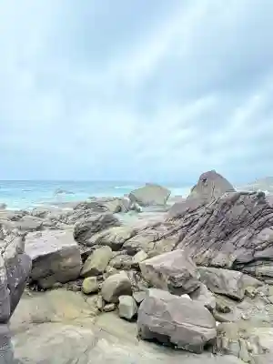 龍宮神社(高知県)