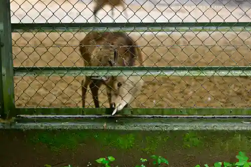 鹿島神宮(茨城県)