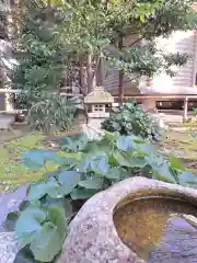 前鳥神社(神奈川県)