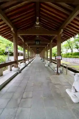 清大寺(越前大仏)(福井県)