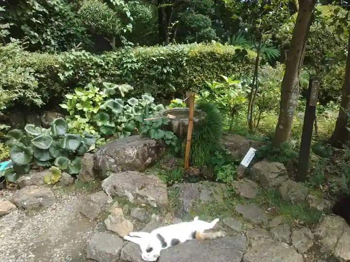 唐澤山神社(栃木県)