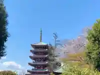 本土寺(千葉県)