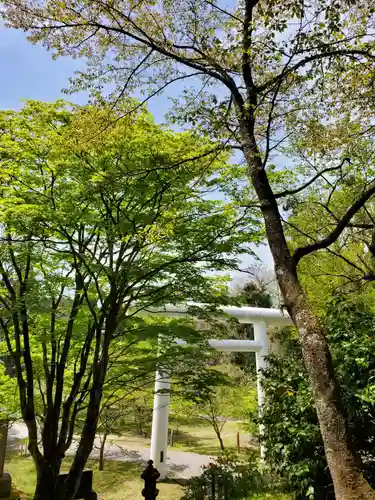 土津神社｜こどもと出世の神さまの景色