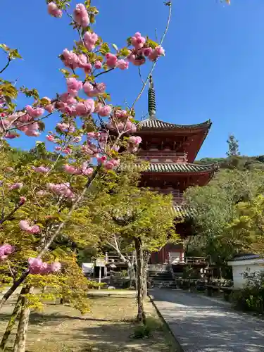 太山寺(兵庫県)