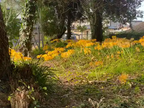 祓戸神社(鹿児島県)