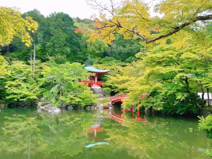 醍醐寺(京都府)