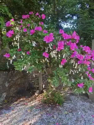 久保稲荷神社(埼玉県)