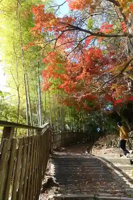 神峯山寺のその他建物