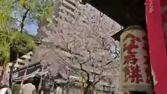 頂法寺（六角堂）の食事