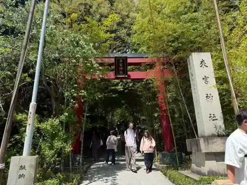 來宮神社(静岡県)