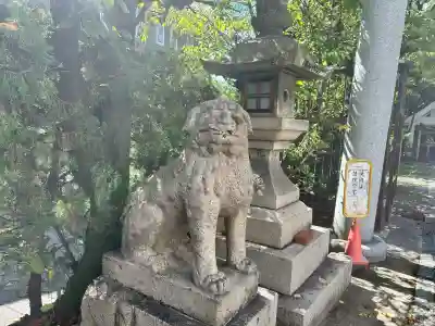 大江神社の狛犬
