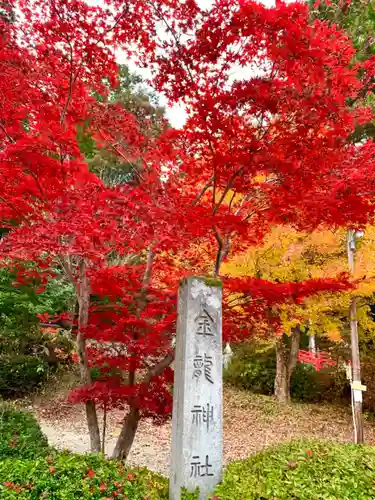 飛騨東照宮の自然