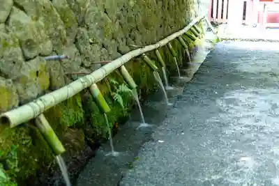 富士山本宮浅間大社(静岡県)