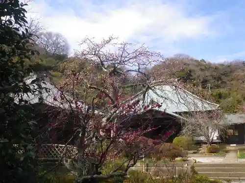 海蔵寺の本殿・本堂