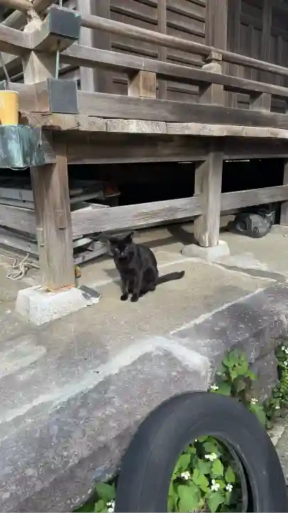 蛭子神社(神奈川県)