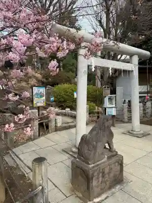 千駄ヶ谷冨士浅間神社(東京都)