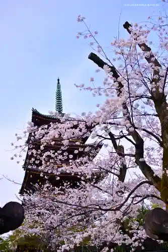 上野東照宮の塔