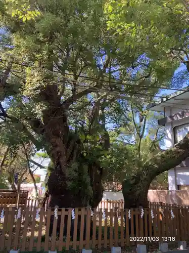 富知六所浅間神社(静岡県)