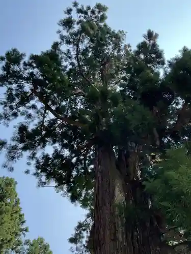 熊野神社(岐阜県)
