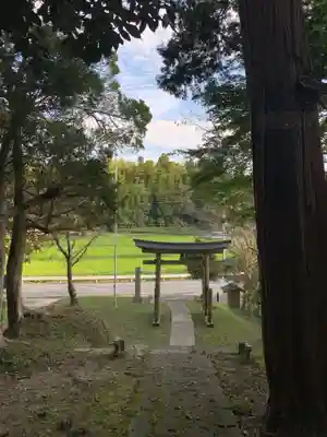 熱田神社の鳥居
