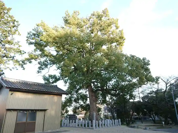白鳥神社の自然