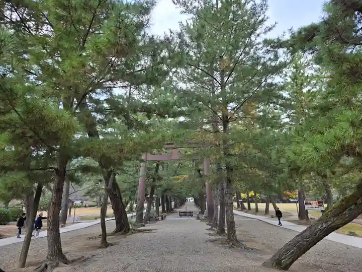出雲大社(島根県)