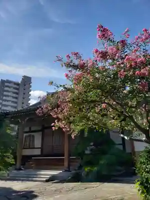 栄松院(東京都)