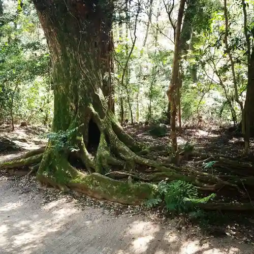 鹿島神宮の自然
