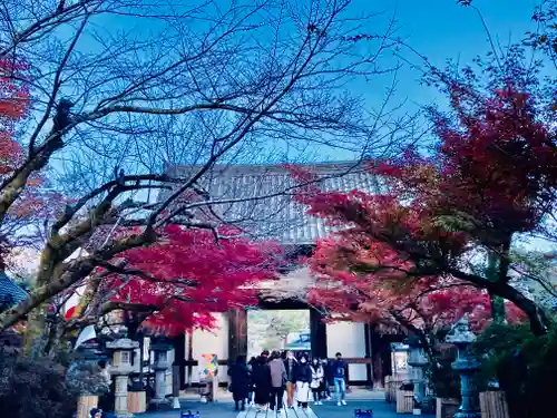 石山寺の山門