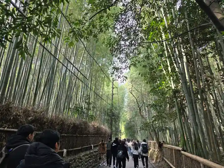 野宮神社(京都府)