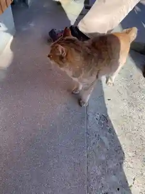 真野寺(千葉県)