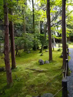 桂春院(京都府)