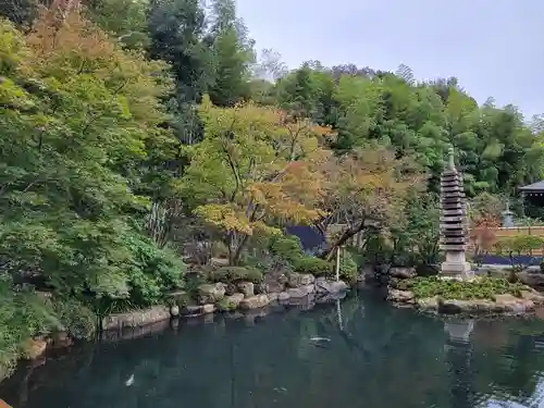 貫井神社の庭園