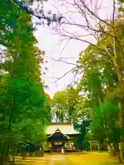 成田熊野神社(千葉県)