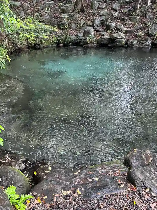 泉神社(茨城県)
