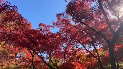 東福禅寺（東福寺）(京都府)