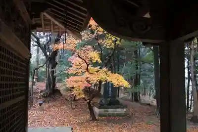 諏訪神社の庭園