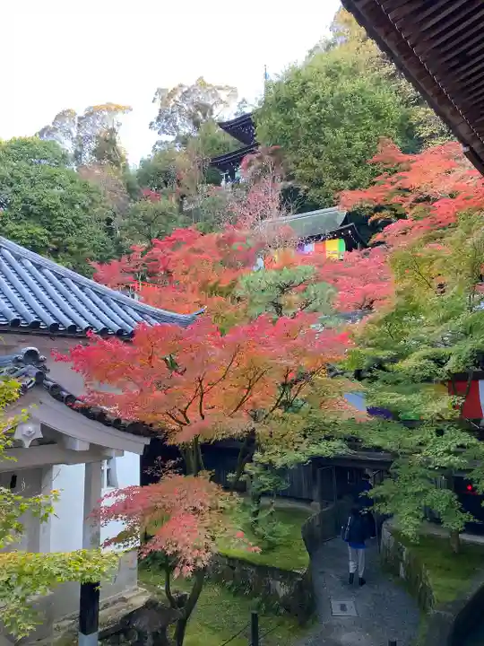禅林寺(永観堂)(京都府)