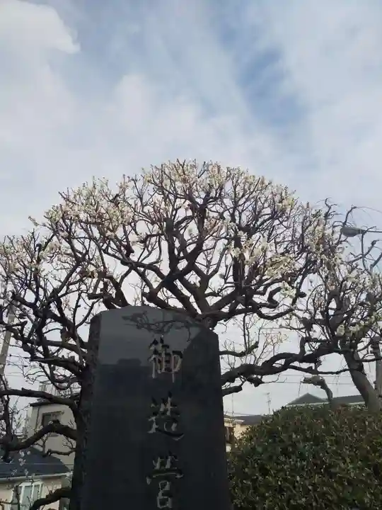 住吉神社の自然