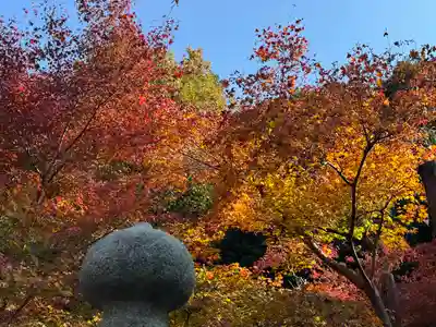 由加山 由加神社本宮(岡山県)